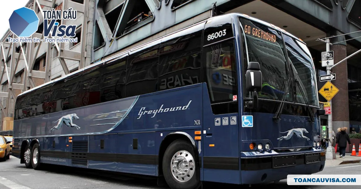 Kinh nghiệm định cư Mỹ: Quy trình định cư và hướng dẫn chi tiết 7 Xe buýt đường dài Greyhound trên phố