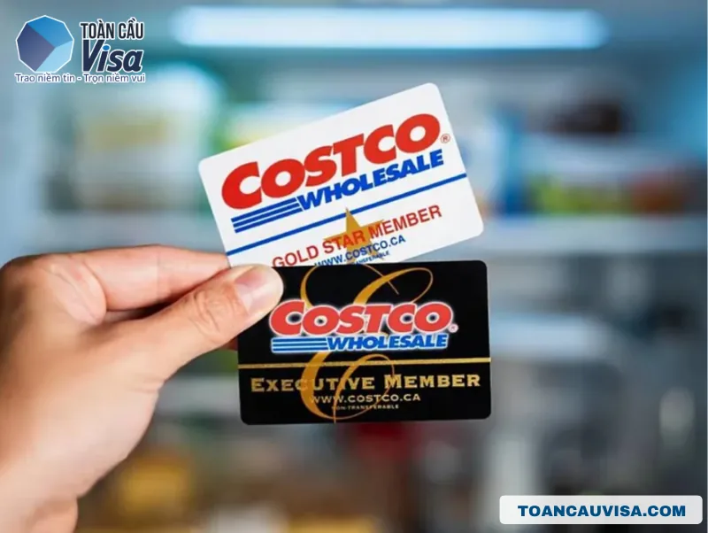 Siêu thị Costco ở Mỹ: Hướng dẫn chi tiết từ A-Z cho người mới 4 Thẻ thành viên của siêu thị Costco có hai cấp chính